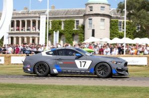 Ford Mustang GT4 Paul Ricard